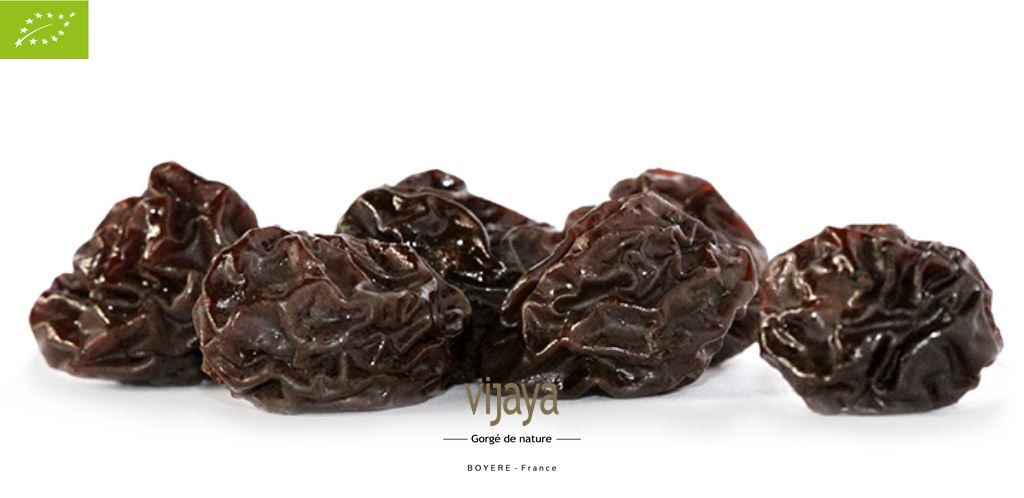 Vijaya