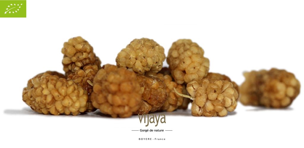 Mûre - Mulberry Blanche Séchée - TURQUIE - 2.5 Kg - Bio*