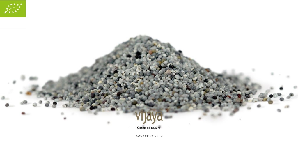 Graine de Pavot Bleu - FRANCE - 5 kg - Bio*